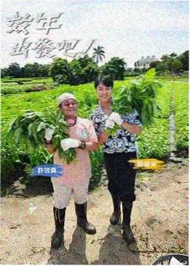 新西游记 亚洲精品在线看